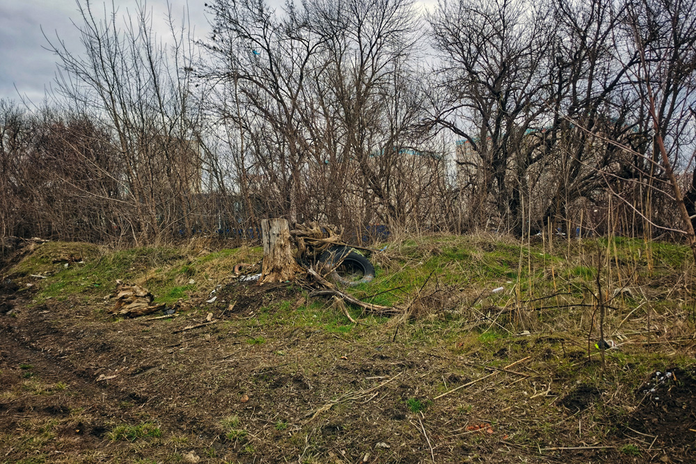 Ростовчане выступили за создание парка или сквера в Левенцовском жилом районе - фото 1