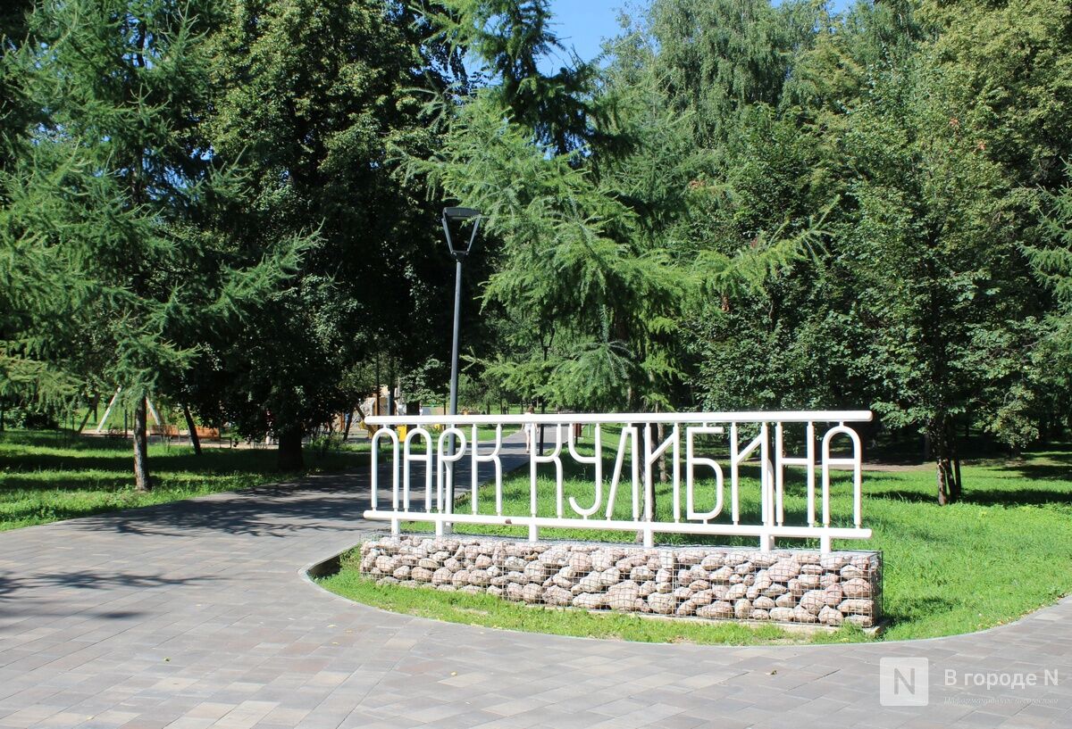 Нижегородцам рассказали о построенных «на костях» парках и отелях - фото 1