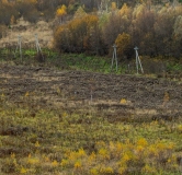 Ход строительства дома № 10,11 в ЖК GloraX Новинки -