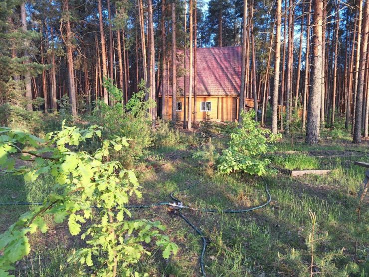 Участок леса площадью 2 га продается на берегу реки в Нижегородской области - фото 1