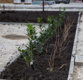 Ход строительства дома № 30, 3 этап в ЖК Сады у моря -