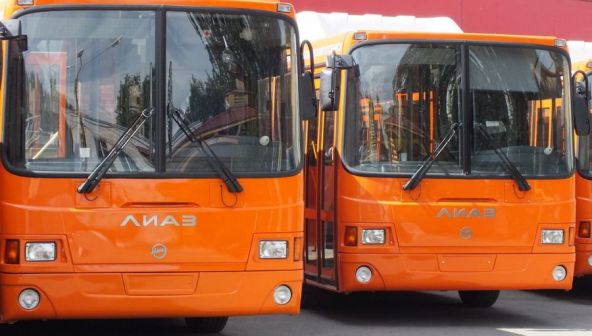 Какими будут новые автобусные маршруты в Нижнем Новгороде — схемы 
