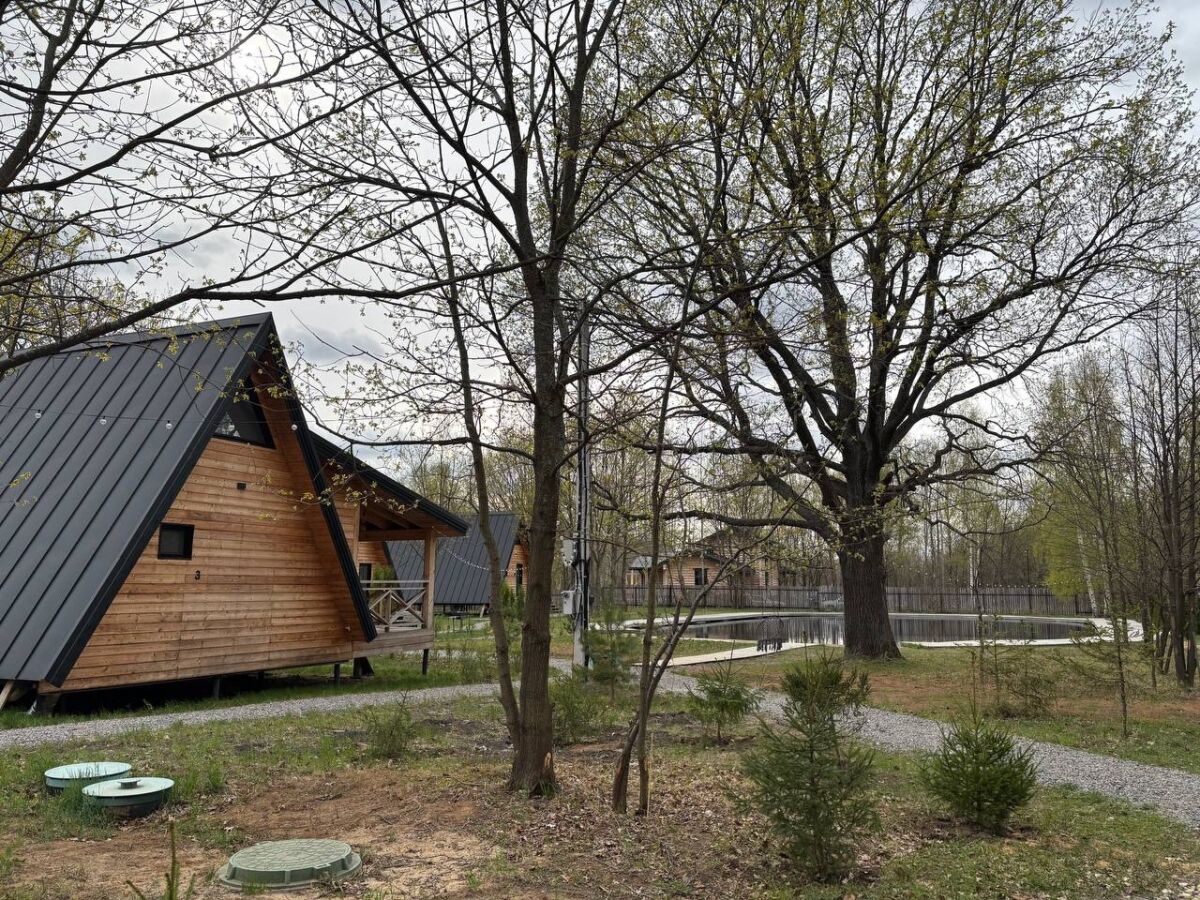 Глэмпинг стоимостью 100 млн рублей хотят построить в Кстовском районе  - фото 1