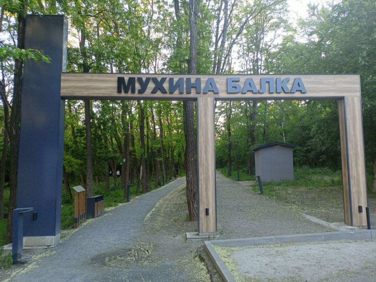 Уникальный экопарк: как в Аксае вернули к жизни Мухину балку - фото 1