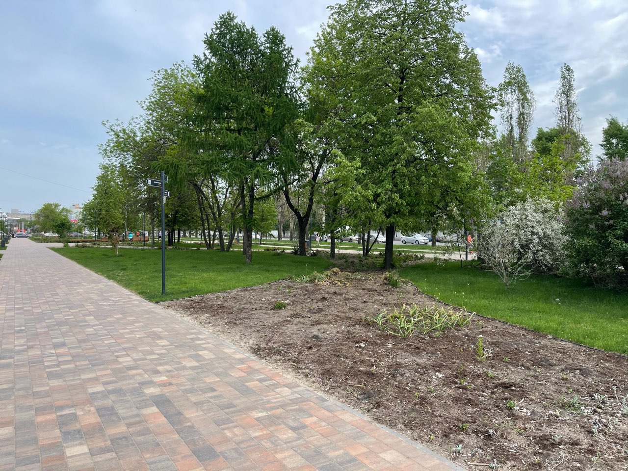 Сквер у воронежской облдумы благоустроит «Навастрой» за 37 млн рублей - фото 1