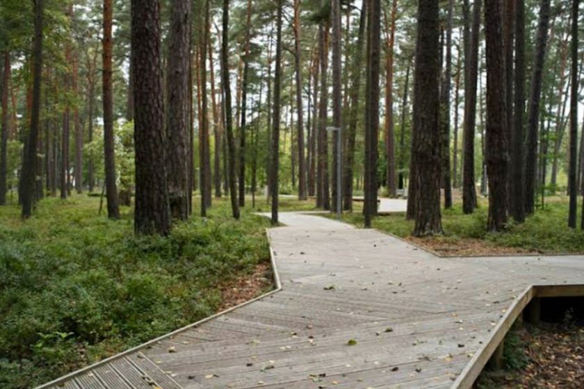 Дизайн-проект благоустройства парка им. 1 Мая в Ростове будет представлен в конце апреля